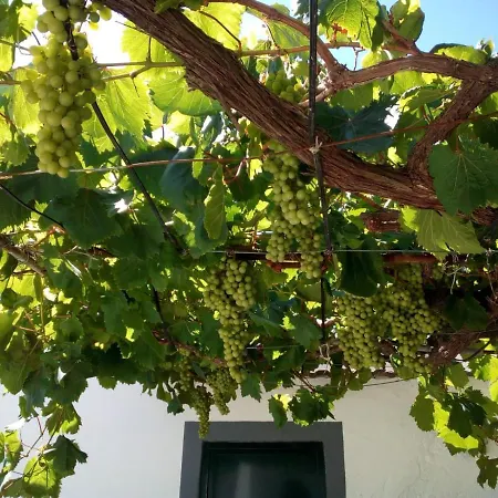 A Casa Dos Avos Σπίτι διακοπών *