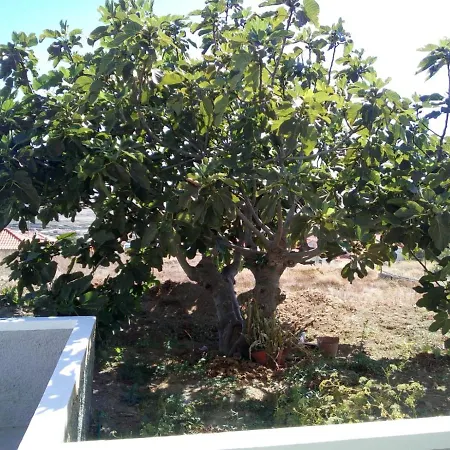 Holiday home A Casa Dos Avos Porto Santo