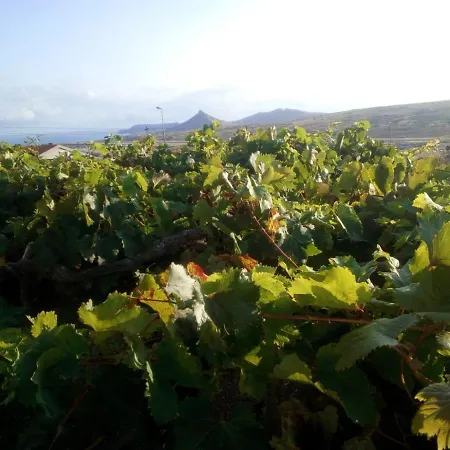 A Casa Dos Avos Porto Santo