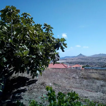 A Casa Dos Avos Porto Santo