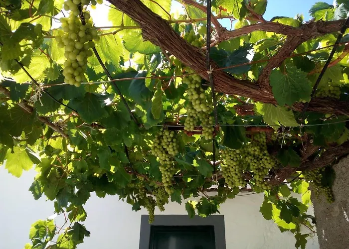 A Casa Dos Avos Feriehus *