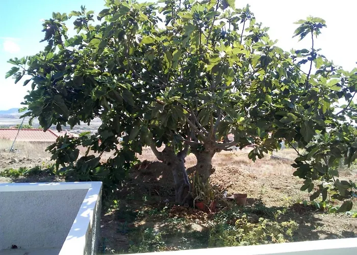 Feriehus A Casa Dos Avos Porto Santo