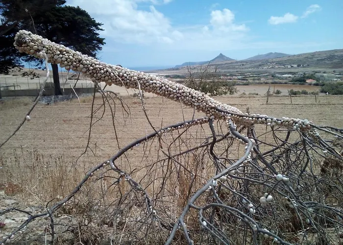 A Casa Dos Avos Porto Santo