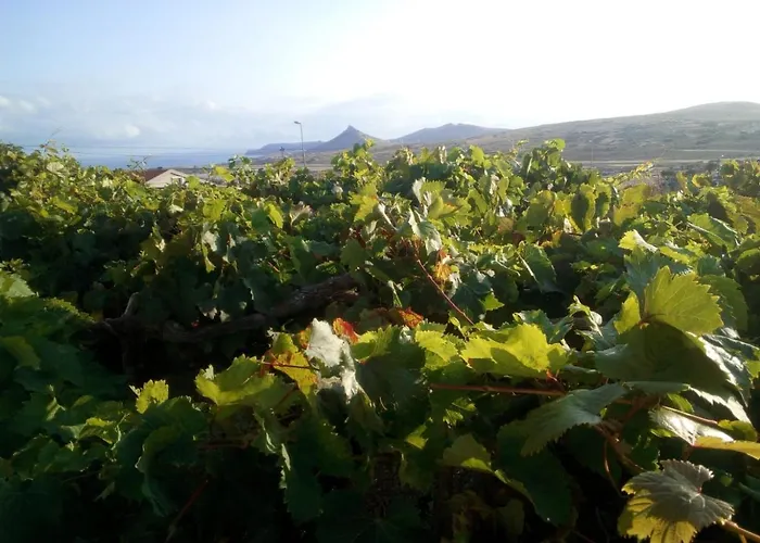 A Casa Dos Avos Porto Santo